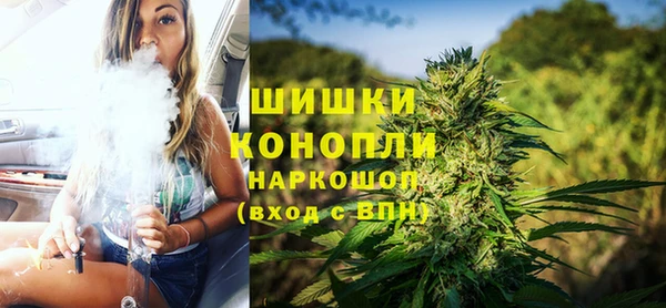крисы Медвежьегорск