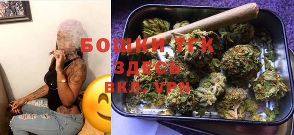 крисы Медвежьегорск