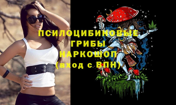 метадон Михайловка
