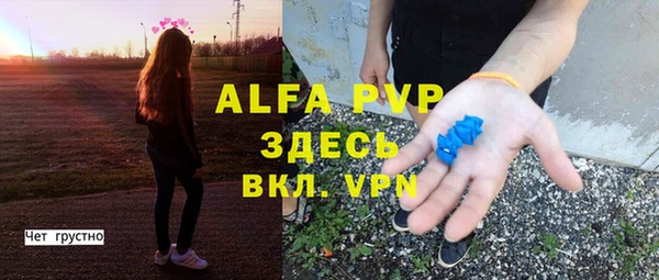крисы Медвежьегорск