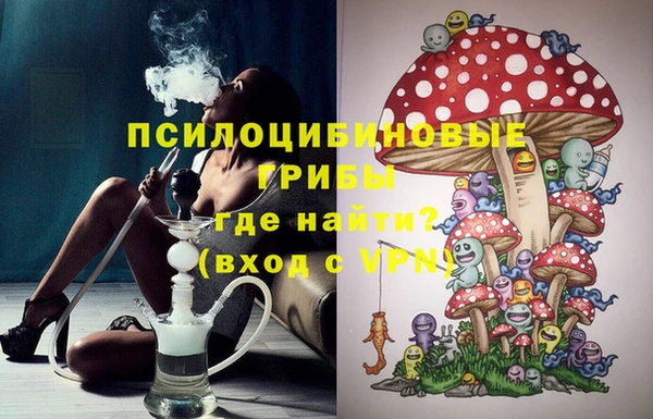 крисы Медвежьегорск